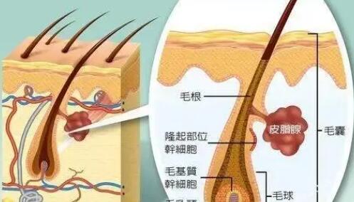 QQ截图20231117173333.jpg